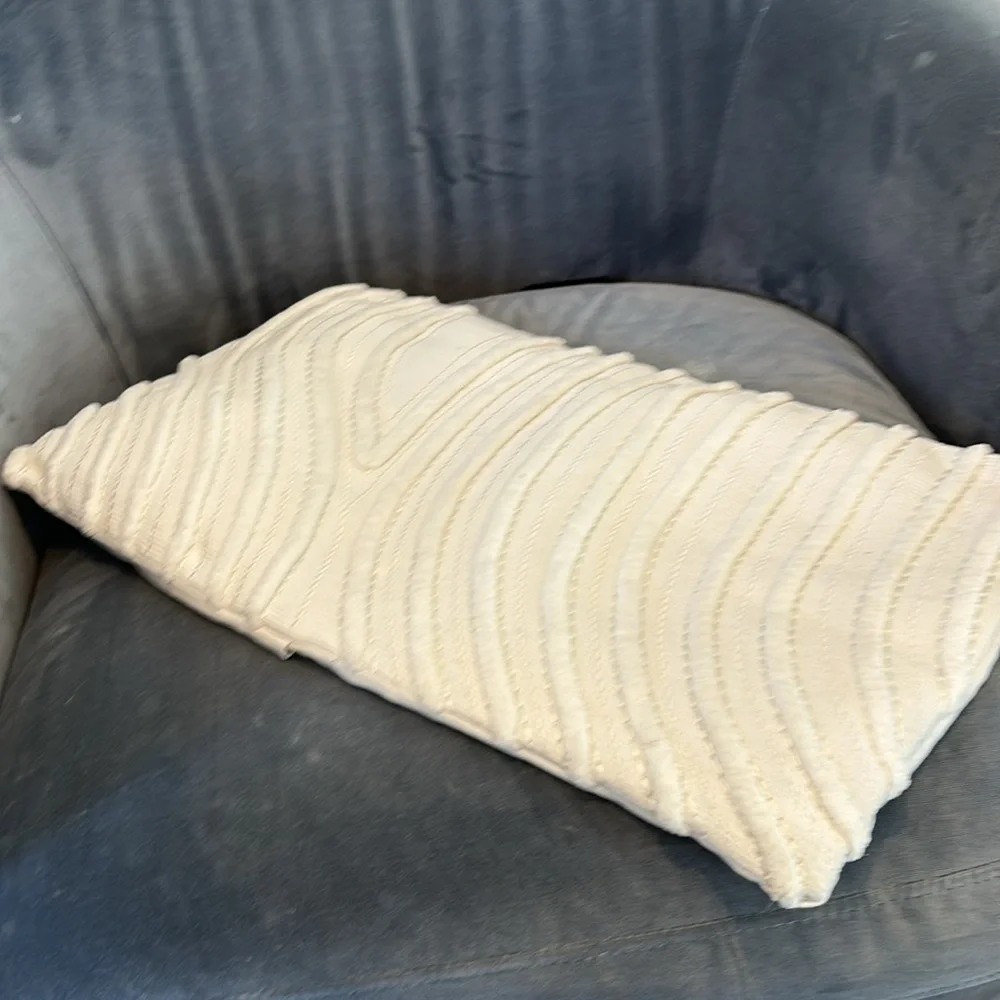 West Elm pillow cover